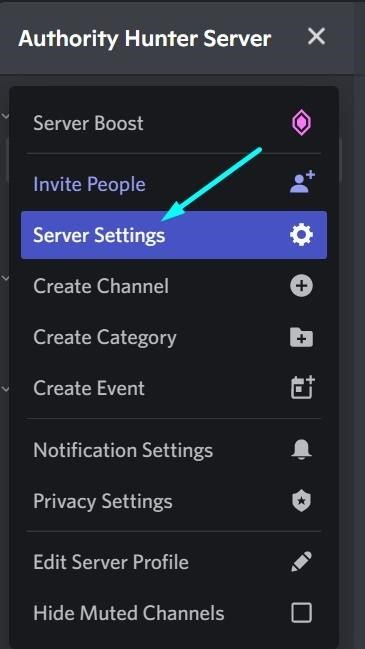 Server settings option in the drop-down menu