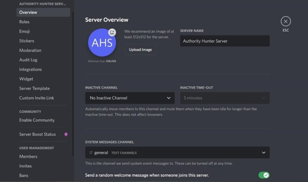 Server overview and management page on discord