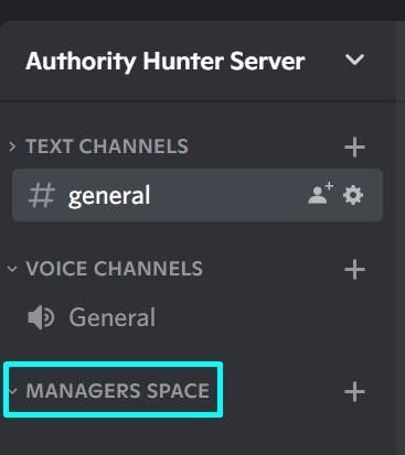 New category in the channel’s list on discord