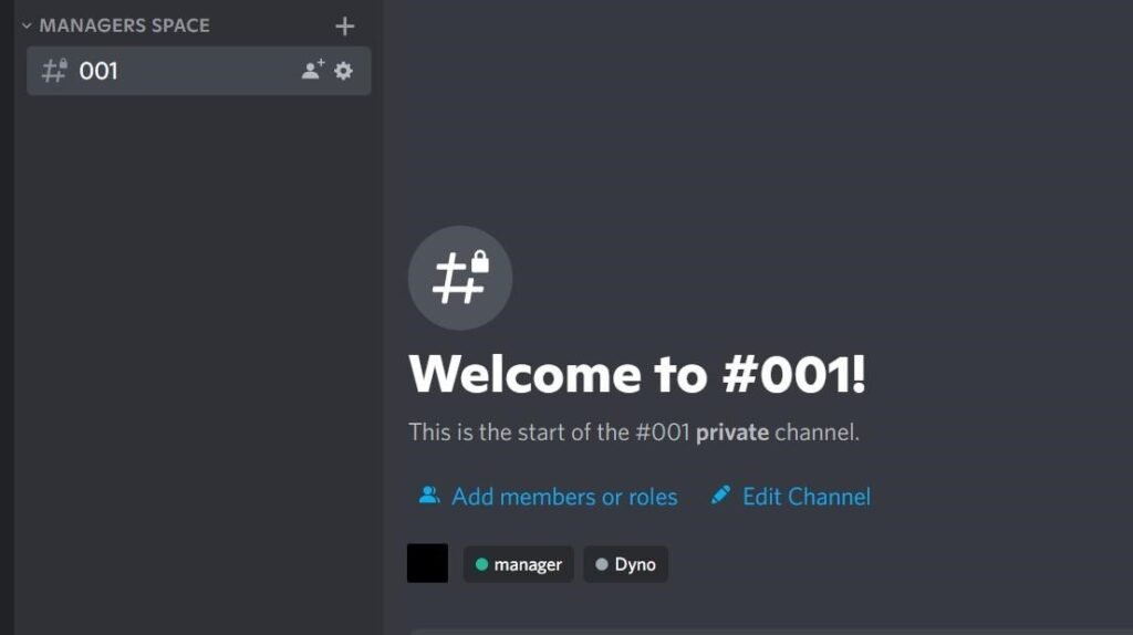 The private channel with only one role access on discord